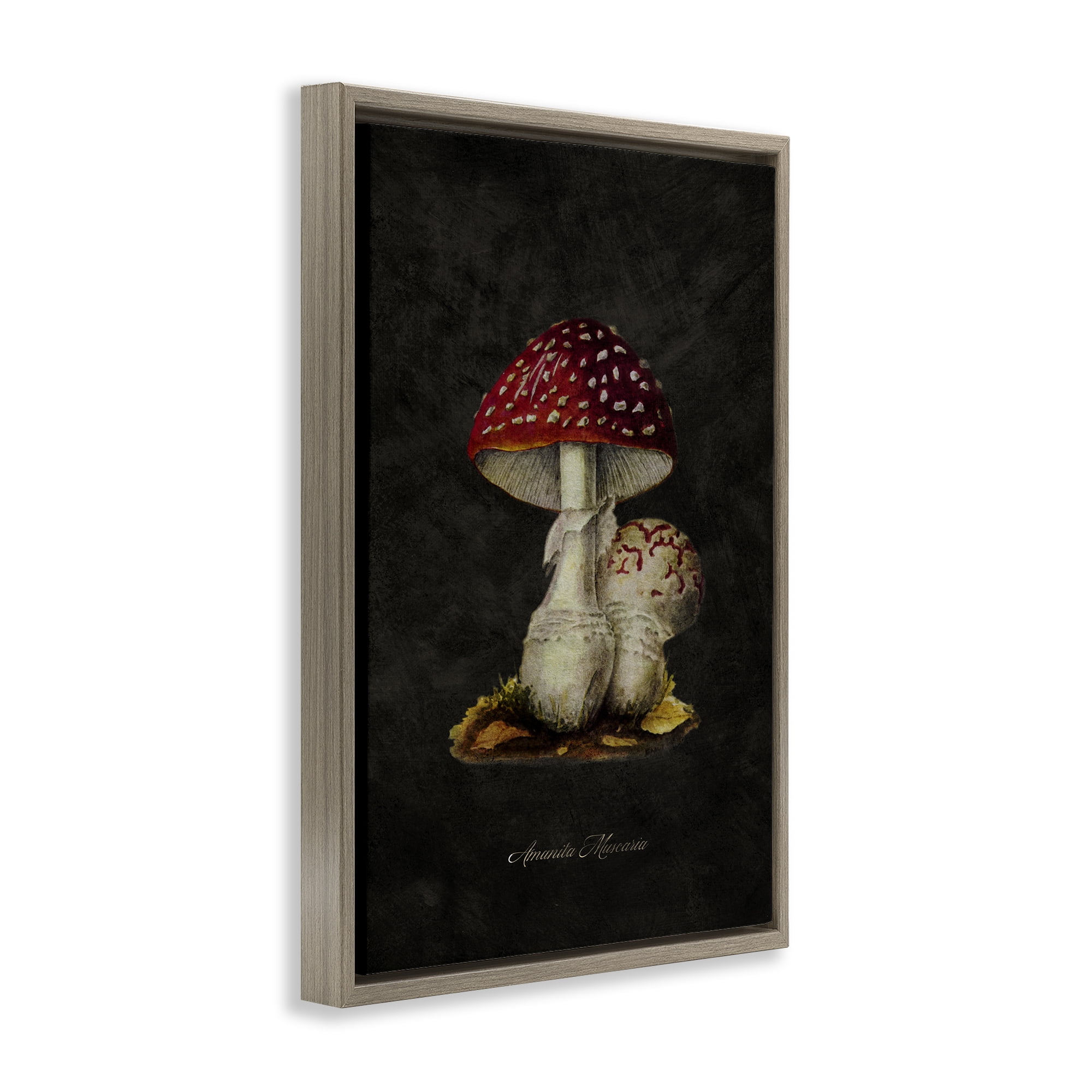 Stupell Industries Rustic Mushroom Pair Plants & Flowers Painting Brown Floater Framed Canvas Art Print Wall Art, 17 x 25