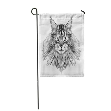 SIDONKU Portrait Cat Breed Maine Coon Face Sketch Black and White Drawing Adult Garden Flag Decorative Flag House Banner 12x18