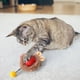 thumbnail image 5 of Promoción Especial, Pelota de juguete automática para mascotas, artefacto de autoentretenimiento con cuerda, suministros para mascotas, pelota saltarina Akmoler, 5 of 9