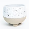 thumbnail image 1 of Specked White With Beige Footed Base Planter, 1 of 1