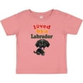 thumbnail image 3 of Inktastic Labrador Retriever Dog Black Lab Boys or Girls Baby T-Shirt, 3 of 5