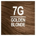 thumbnail image 2 of Naturtint 7G Golden Blonde Permanent Hair Color, 1 Pack (Packaging May Vary), 2 of 8