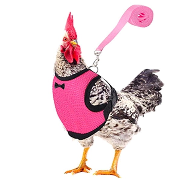 Pollo Ajustable Con Correa Chaleco De Mascota De Gallina Transpirable Con Cinturón A Juego De 3.6 Pies Cuerda De Tracción De Entrenamiento Al Aire Libre Para Mascotas Gallina Pato Ganso Minnieouse HA044941-17
