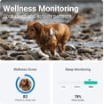 thumbnail image 3 of Tractive GPS Pet Tracker for Dogs - Waterproof, GPS Location & Smart Activity Tracker, Unlimited Range, Works with Any Collar (White), 3 of 8