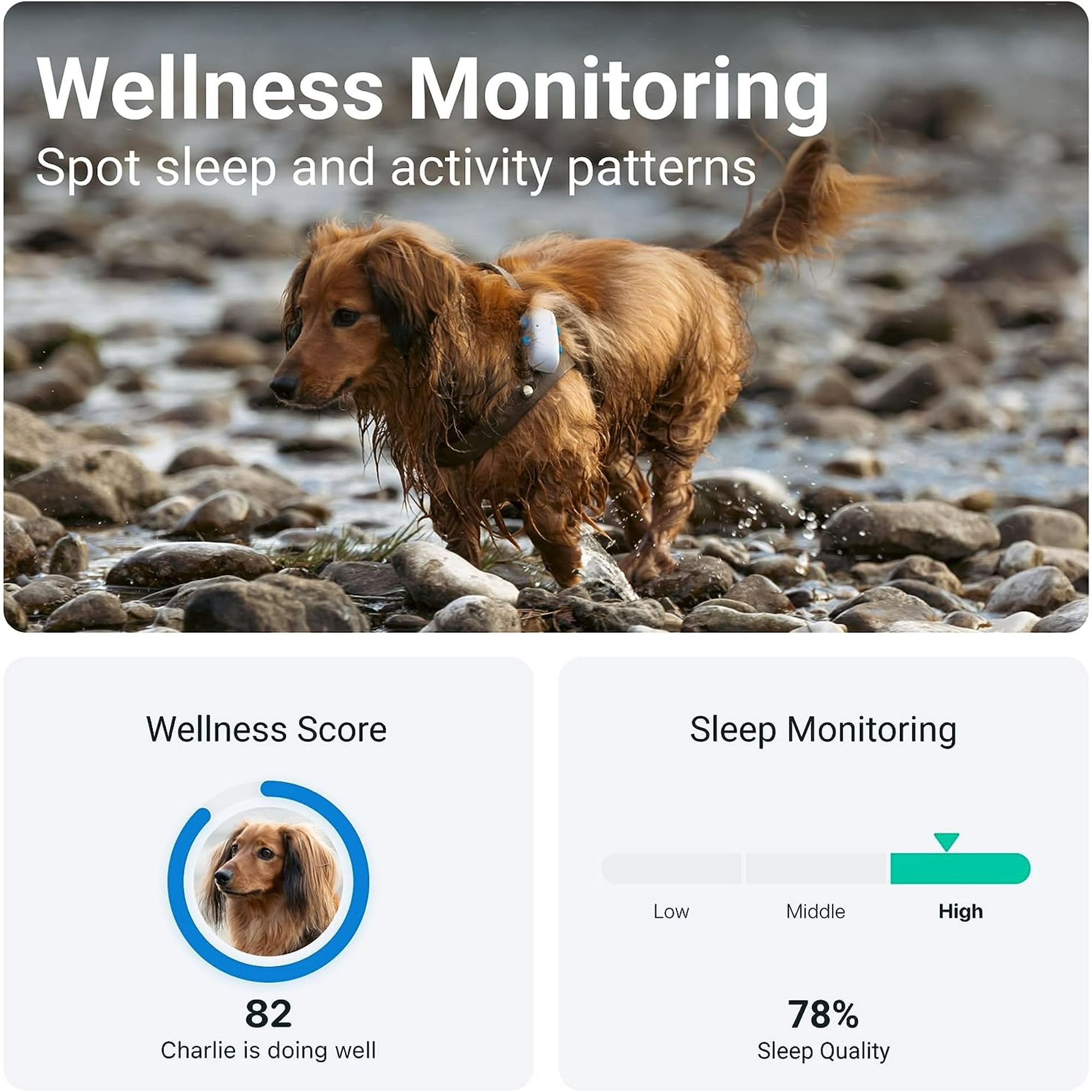 Tractive GPS Pet Tracker for Dogs Waterproof GPS Location Smart Activity Tracker Unlimited Range Works with Any Collar White Walmart