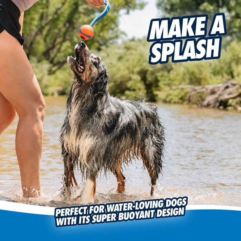 Chuckit! Ultra Tug Ball Dog Toy, 3 Inches, Large photo 3