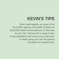 thumbnail image 6 of KEVIN.MURPHY SCALP.SPA WASH, Clarifying Scalp Shampoo for Dry or Sensitive Scalp, 250 mL, 6 of 7