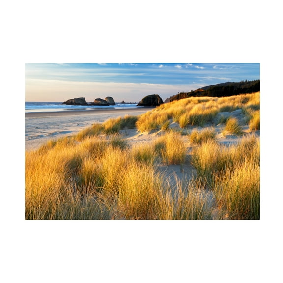 Dennis Frates 'Sea Grass 8' Canvas Art