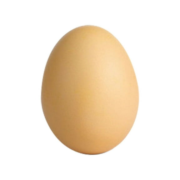 HJJLRH Wooden Fake Eggs, White Wooden Easter Egg Wood Eggs for Crafts Home Decor, Wooden Egg Wood Eggs for Crafts Home Decor