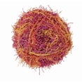 thumbnail image 2 of Corazón rojo Red Heart E833-982, 2 of 2