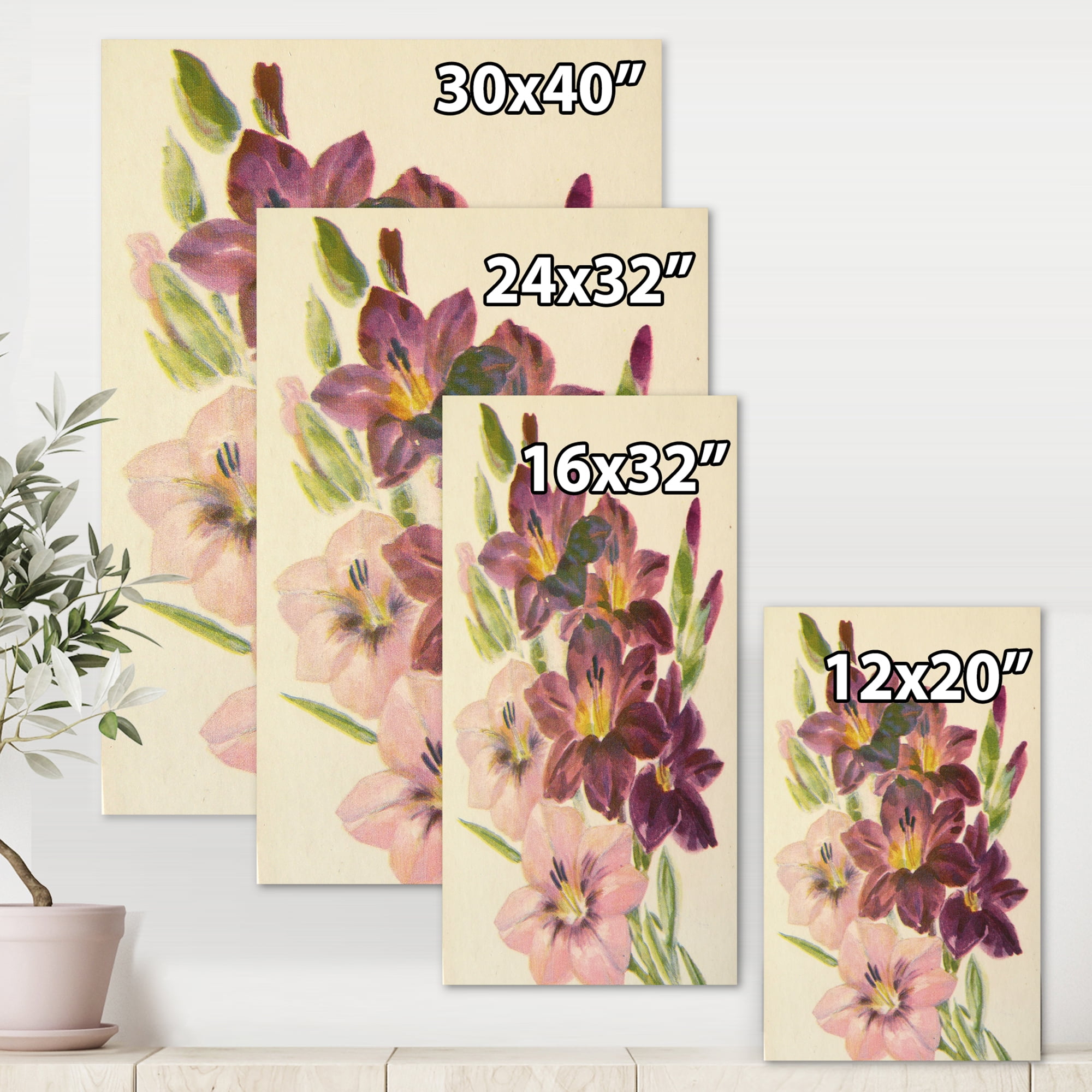 Designart ' Retro Dark and Light Pink Gladiolus ' Traditional Canvas Wall Art Print
