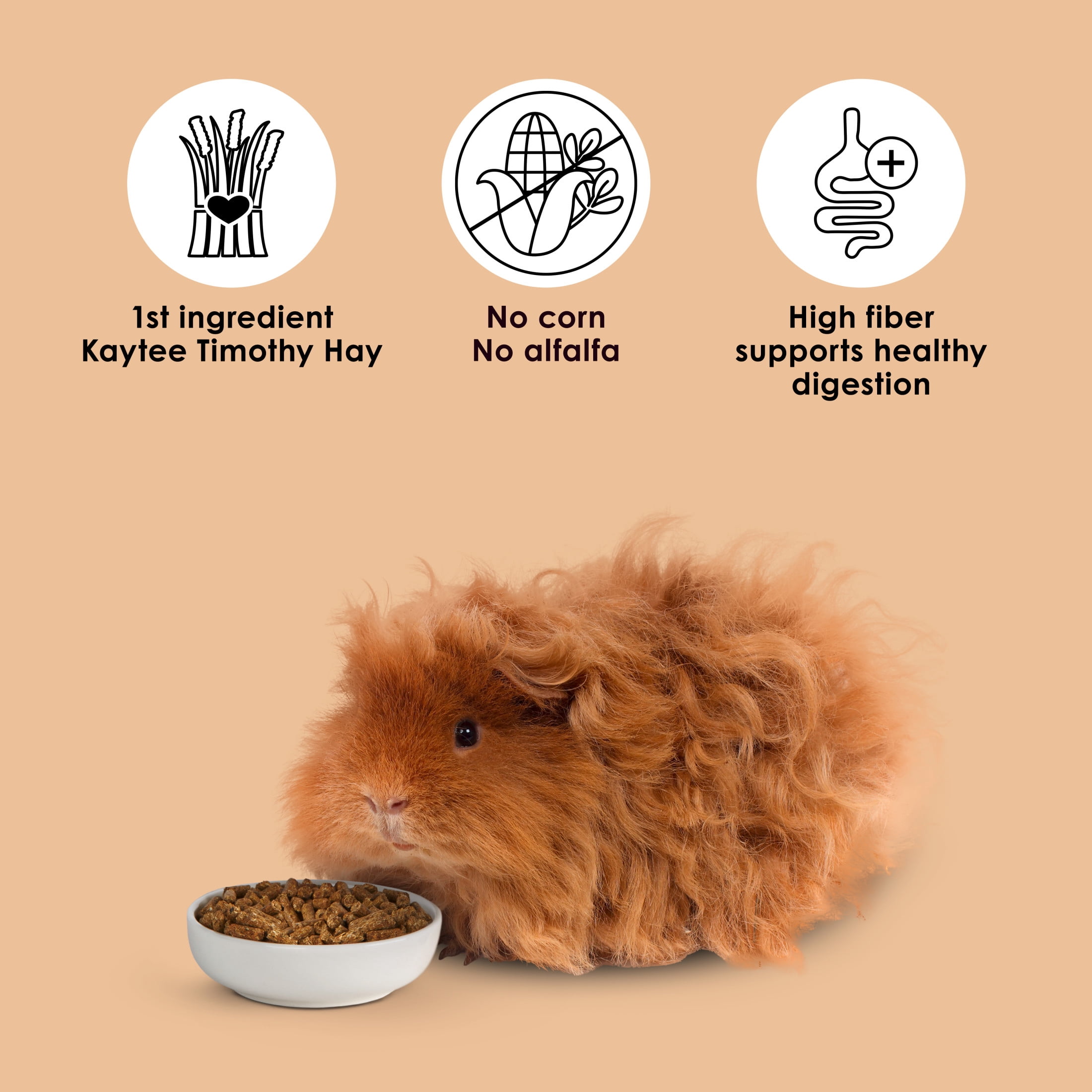 Kaytee Timothy Complete Guinea Pig Food 25 Pounds