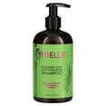 thumbnail image 1 of Shampooing Fortifiant a la Menthe et au Romarin, 1 of 8