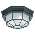 thumbnail image 2 of Capital Lighting - 11 Inch 2 Light Outdoor Flush Mount - in Urban/Industrial, 2 of 3