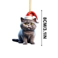 thumbnail image 3 of PEONAVET License Plate Christmas Ideas Kittens Car Pendant Backpack Pendant, 3 of 5
