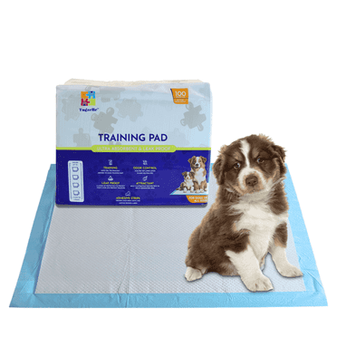 Tugzelle Dog Training Pads, 23"x23", 100 Ct, Fresh Scent, Fast Absorbent