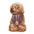 thumbnail image 3 of Lsque Bluey Printing Dog Bandana ,Cat Scarf Adjustable Bib Handkerchief Accessories for Dogs Cats,Pet scarf,Pet fashion, 3 of 8