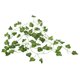 thumbnail image 2 of 3X 2M Plantas Artificiales Largas Hojas de Hiedra Verde Vid de Uva Artificial Hoja Falsa de Partenciscisus, Decoracion de Casa Boda Y Bar, Seccion de Enredadera, 2 of 5