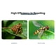 thumbnail image 2 of Repelente de energía solar Mosquitos Killer Outdoor H-anging LEDs Light yeacher  Lámpara matamosquitos, 2 of 7