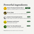 thumbnail image 6 of PetLab Co. ProBright Advanced Dental Powder - Award Winning Dog Breath Freshener - Teeth Cleaning Made Easy – Targets Tartar & Bad Breath - Formulated for Small Dogs, 6 of 10