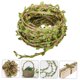 thumbnail image 5 of FENGGUIQU Planta Artificial Para Colgar Con Vid De Ratán Para Y Duradera, 5 of 8