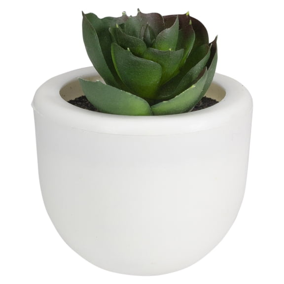 Northlight 2.75" Succulent Artificial Potted Plant Table Top Decoration - Green/White