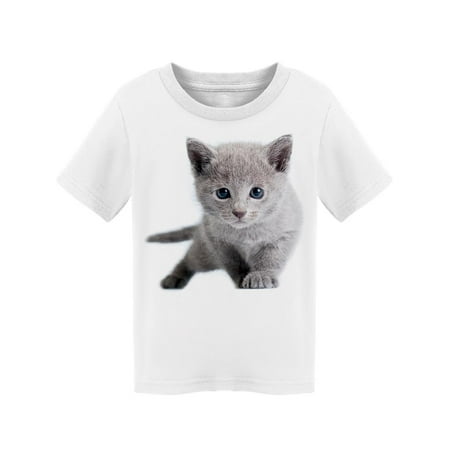 

Russian Blue Cat In Photo Studio T-Shirt Toddler -Image by Shutterstock 2 Toddler