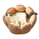 thumbnail image 2 of Nido de pétalos de Cactus para mascotas, nido de gato grueso de felpa, 2 of 4