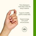 thumbnail image 4 of Swanson Rhodiola Ashwagandha Ginseng Complex Energy Immune Function Nervous System Stress Support Adaptogen Herb Supplement 60 Capsules, 4 of 8