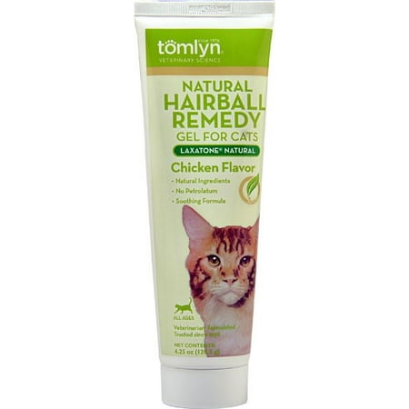 Home Remedy For Hairball In Dogs Home Remedy For Hairball In Dogs