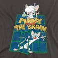 thumbnail image 2 of Pinky and The Brain Ol Standard Women's T Shirt, Charcoal, Medium, 2 of 6