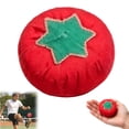 thumbnail image 1 of Aufmer Vivid Tomato Shaped Cloth Sandbag Proper Weight Design Easy Grasp Structure For Outdoor Leisure Interactive Physical Training Game Use, 1 of 9