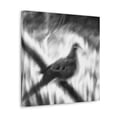 thumbnail image 5 of Mourning Dove Impressionism - Canvas, 5 of 25