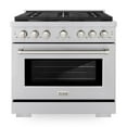 thumbnail image 3 of ZLINE 36 in. 5.2 cu. ft. Paramount Dual Fuel Range with Gas Cooktop and Electric Convection Oven in Stainless Steel with 6 Brass Burners (SDR-BR-36), 3 of 3