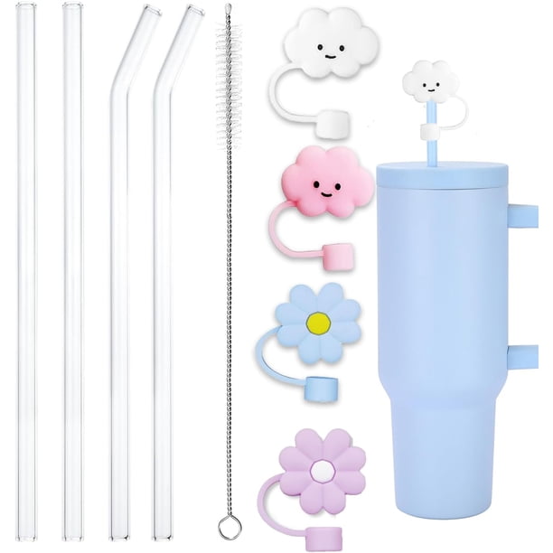 Paquete de Pajitas de Vidrio, Tapas de Silicona para Popote, Cepillos de Limpieza Reutilizables