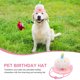 thumbnail image 3 of Houderco Sombrero Para Perro Y Fiesta De Cumpleaños Encantador Y Multicolor, 3 of 7