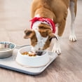 thumbnail image 2 of IRIS 4 Cups Slow Feeder Dog Bowl, Anti-Choking, Anti-Slip, Easy to Clean, Interactive Puzzle Toy, Healthy Digestion, Short snouted, Dogs Cats & Other Pets, BPA, PVC, Phthalate Free, White/Beige, 2 of 4