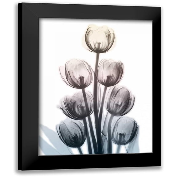 Koetsier, Albert 12x14 Black Modern Framed Museum Art Print Titled - Springing Tulips