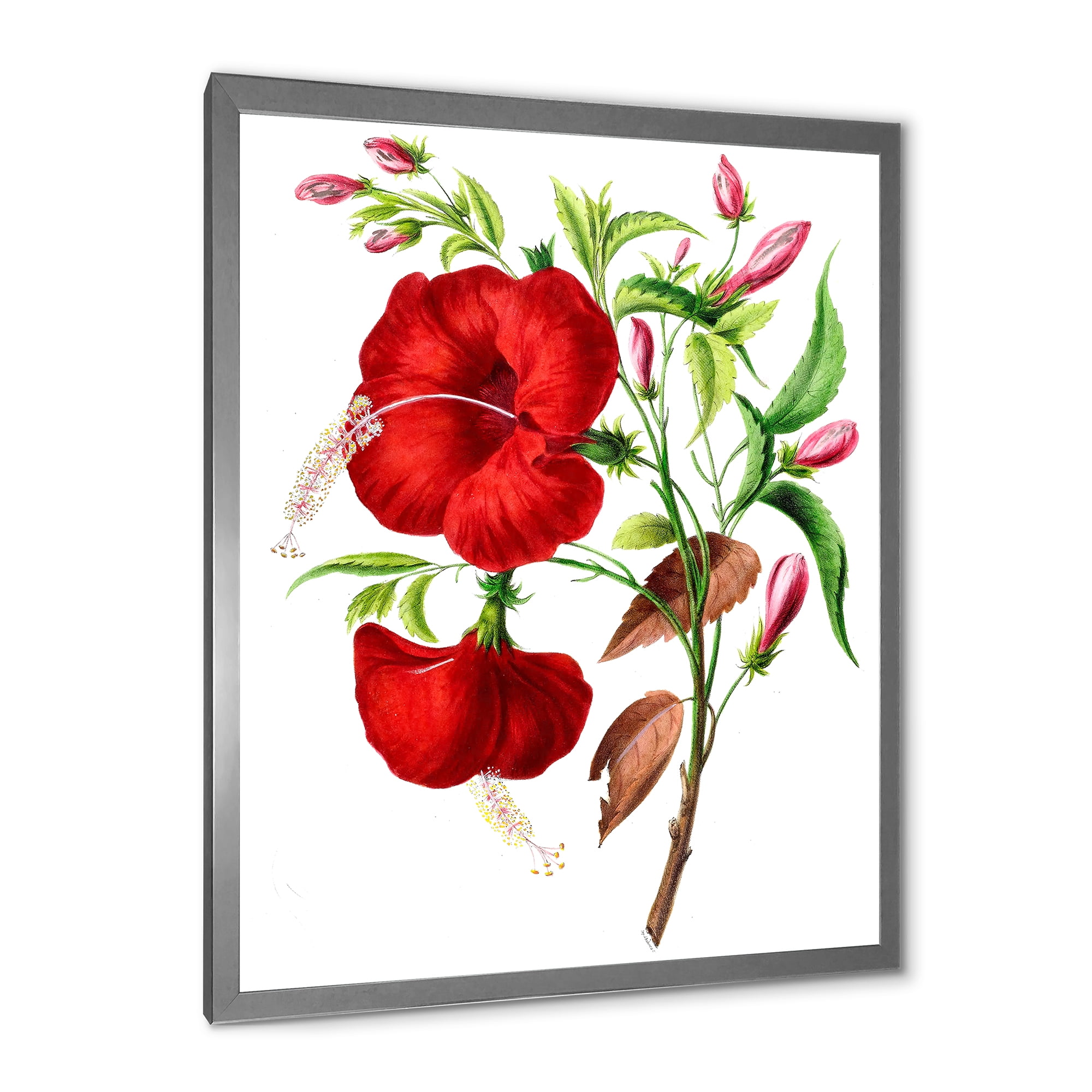 Designart 'Ancient American Flora I' Traditional Framed Art Print