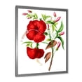 thumbnail image 2 of Designart 'Ancient American Flora I' Traditional Framed Art Print, 2 of 4