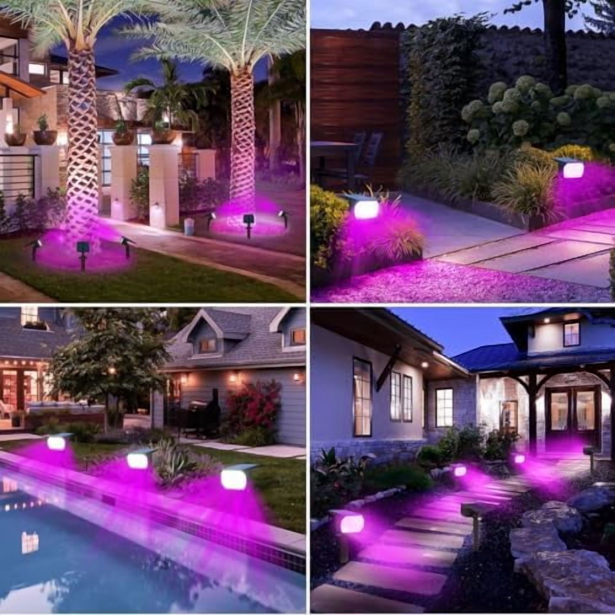 HOVMAP Solar Lights Outdoor 72 LEDs Solar Spot Lights 1500mAh Battery 3 Modes IP67 Waterproof ABS 4 Pack for Garden Yard Pathway, 4Pc Purple light