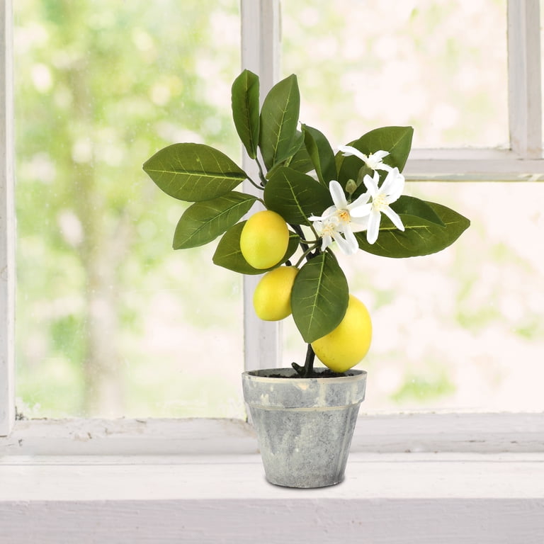 Bojue 1 pcs Simulation Lemon Bonsai Home Party lemon fake fruit tree potted  Potted Decoration - Walmart.com