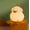 C-Cute duck, variant on Cute Pig Lamp, Reclining LED Night Light with 3-Level Dimming, Rechargeable Touch Bedside Lamp, Soft Glowing Animal Novelty Light, Perfect Birthday Gift