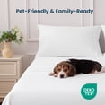 thumbnail image 5 of SLEEP ZONE 85gsm Bed Sheet Set, Microfiber Wrinkle-free Bedding set with 14" Pocket White, Queen, 5 of 15