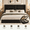 Black, variant on Frostbloom King Size Lift Up Hydraulic Storage Bed Frame Velvet Upholstered Wingback Headboard Off-White
