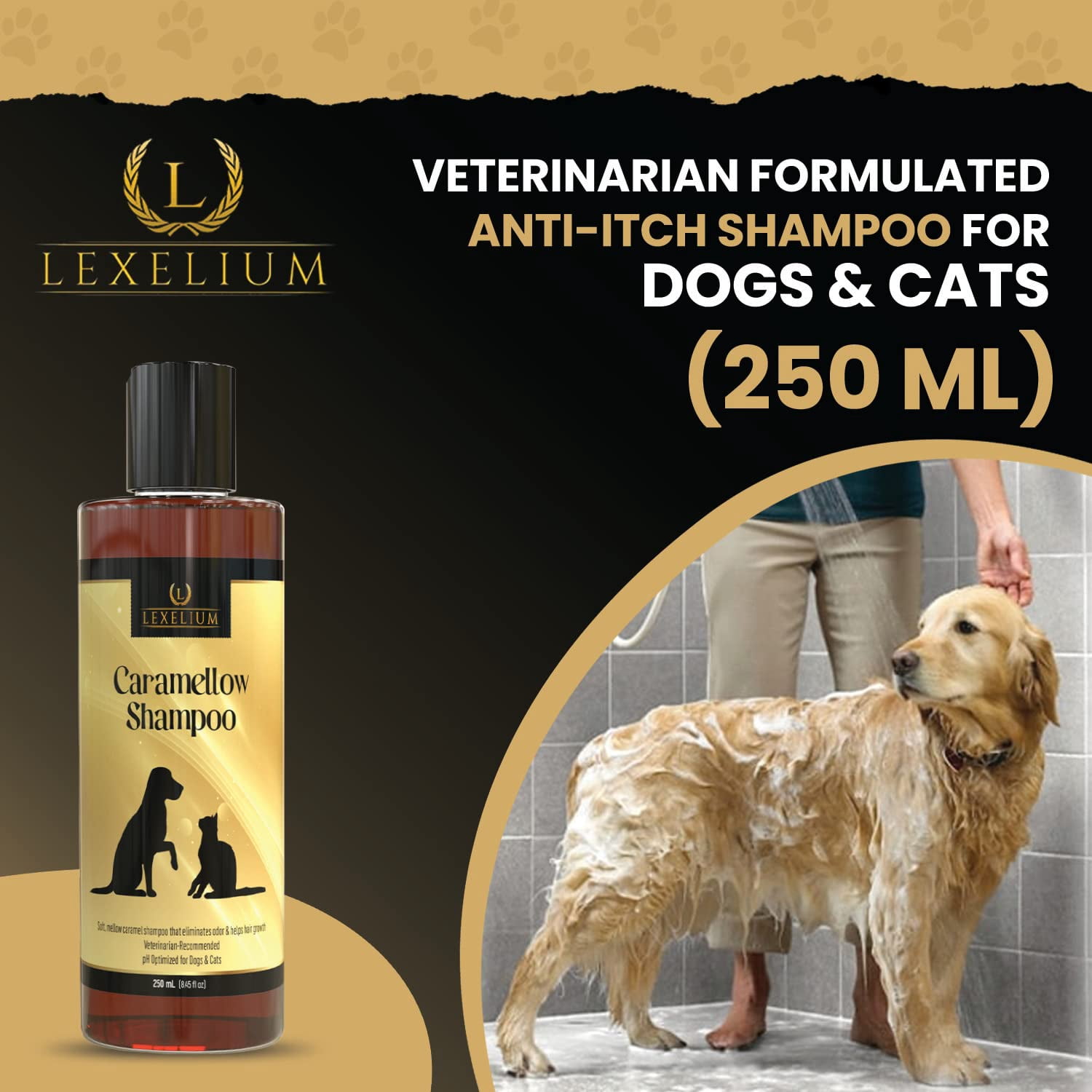 Lexelium Dog Shampoo for Itchy Skin - Infused with Caramel & Herbal Extracts for Dry and Itchy Skin Relief - Veterinarian Formulated Anti-Itch Shampoo for Dogs & Cats (250 ML)
