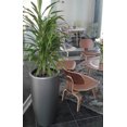 thumbnail image 3 of Maceta Autorregable Smart Garden  LQ4581 Gris Metalico, 3 of 3
