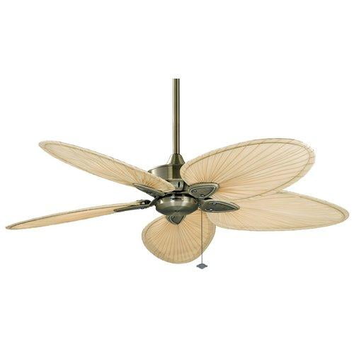 Fanimation Fp7500ab Windpointe Ceiling Fan Antique Br Finish Fp7500ab Windpointe Ceiling Fan
