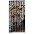 thumbnail image 1 of EREHome Baby Leopard Art Shower Curtain Polyester Fabric Bathroom Decorative Curtain Size 36x72 Inches, 1 of 1
