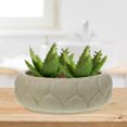 thumbnail image 5 of Alipis Hydroponic Planter Garden Planting Bowl Flower Planting Container Water Lily Bowl, 5 of 5